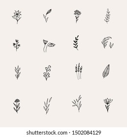 Minimalist Flower Line Art Herb. Set Of Hand Drawn Highlight Icon With Flower And Leaf.  Collection Of Boho Flower For Logo Design For For Hotel, Boutique, Cafe, Shop, Blog, Photography, Organic Shop.