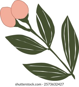 Minimalist flower twig illustration with pastel pink flower buds and dark green leaves. Perfect for greeting card designs, posters, or as a graphic element for creative projects