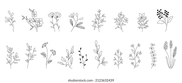 Minimalist flowers and botanic collection. Hand drawn floral branch, leaves herbs and wild plants set in line style. For decoration, wedding and invitation card, design project.