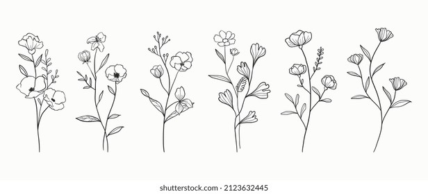 Minimalist flowers and botanic collection. Hand drawn floral branch, leaves herbs and wild plants set in line style. For decoration, wedding and invitation card, design project.