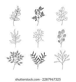 Minimalist flowers and botanic collection. Hand drawn floral branch, leaves herbs and wild plants set in line style. For decoration, wedding and invitation card, design project