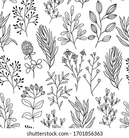Minimalist flowers and branches seamless pattern. Line art herbs on a white background.  Botanic elements texture for fabrics or other design