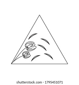 Minimalist Flowers  floral elements for design, flower hand drawn illustration lineart.

