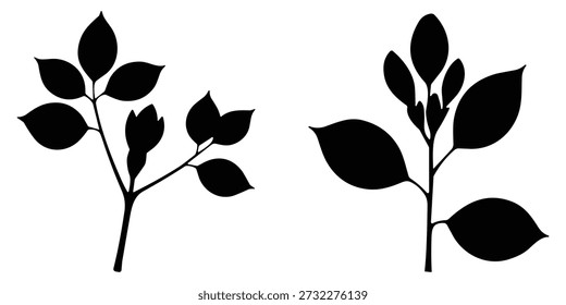 Gráficos minimalistas de Vector de follaje. Formas botánicas florales de jardín. Hojas de árbol natural y Elementos de diseño de cogollos para la decoración moderna.