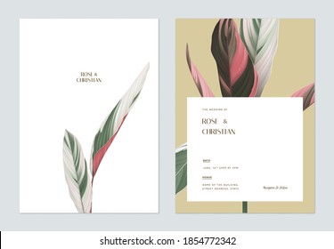 Minimalist foliage wedding invitation card template design, Ctenanthe oppenheimiana