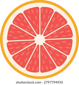 Minimalist Fresh Grapefruit Round Slice Illustration