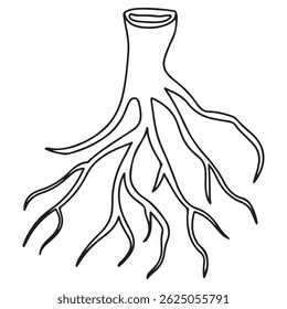 Icono de Vector de raíz de ginseng minimalista – Ilustración de arte de línea de hierbas