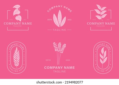 Minimalist Gray Leaf Leaves Nature Logo Collection Style Light Pink Pastel Background.