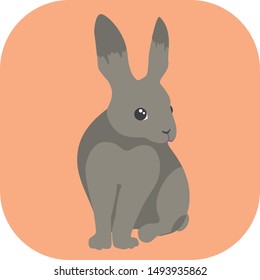Minimalist gray rabbit on an orange background. Ideal for medals or icons.