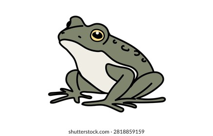 Minimalist green frog vector illustration with a white underbelly isolated on a white background.