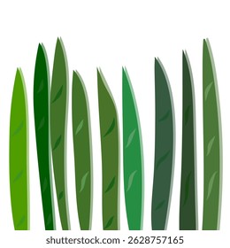 Vector de hojas de hierba verde minimalista, juego de Vector de hojas de hierba Abstractas