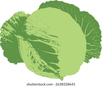 Minimalist green iceberg lettuce drawing in flat vector style. Clean and simple cabbage icon ideal for organic product labels, diet apps, or salad bar branding. Editable vector for easy customization.