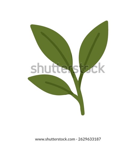 Minimalist green leaf sprig with three leaves, suitable for nature, plant, or organic design concepts. Vector illustration