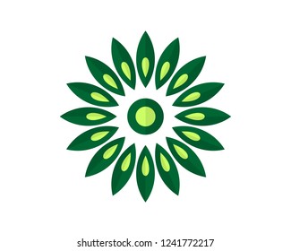 minimalist green ornamental design