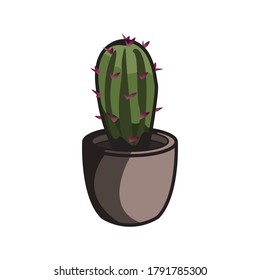 Minimalist green plant with brown pot on white background 