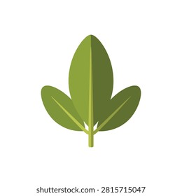 Minimalist Green Trifoliate Leaf Vector Illustration Isolated on White Background for Eco Branding