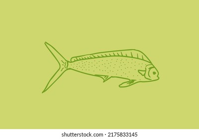 Minimalist Hand Draw Outline Mahi Mahi Fish Vector