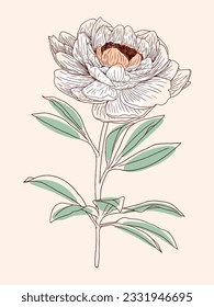 Minimalist hand drawing flower illustration with detailed line art 02
