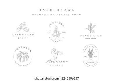 Minimalist hand drawn decorative plant logo