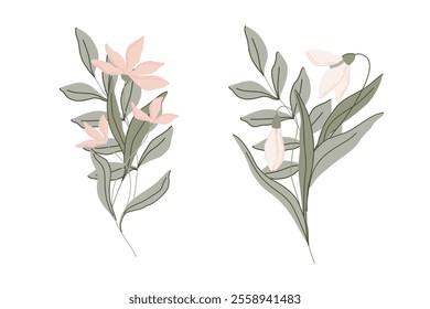 Minimalist hand drawn flat botanical illustration with vector pink flowers and snowdrops, soft green leaves. elegant pastel colors for print, packaging, textiles, decor, cards, wallpaper, web design