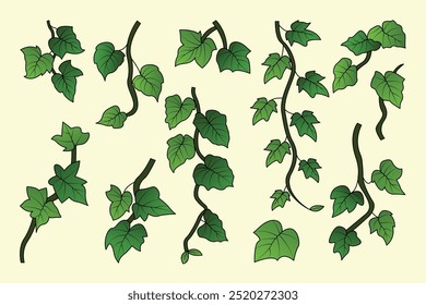 Minimalist Hand Drawn Flower Set – Botanical Illustration of Ivy Stems and Leaves for Floral Design, Wedding Invitations, and Home Decor