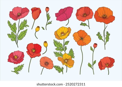 Minimalist Hand Drawn Flower Set – Botanical Illustration of Poppies Stems and Leaves for Floral Design, Wedding Invitations, and Home Decor