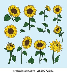 Conjunto de flores desenhadas à mão minimalista - Ilustração botânica de caules e folhas de girassol para design floral, convites de casamento e decoração de casa