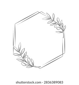 A minimalist hand drawn hexagonal frame decorated with olive branch sprigs and leaves in a delicate pencil sketch style on a clean white background