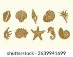 Minimalist hand drawn sea shell set. Vector coastal marine drawing silhouettes for logo, print, menu. Summer tropical beach ink shell doodle design elements.	