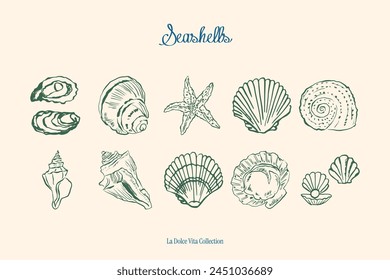 Minimalist hand drawn seashells vector illustration collection. Art for greeting cards, wedding invitations, poster design, postcards, branding, logo design, background.