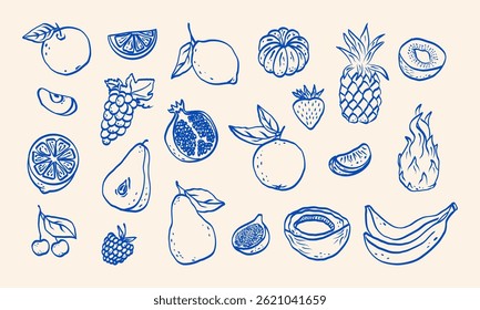 Minimalist hand drawn sketch fruits vector illustration. Natural tropical fruits. Dragon fruit, pineapple, coconut, citrus, banana, fig, apple, grape, lemon, banana, pomegranate, fig, strawberry.