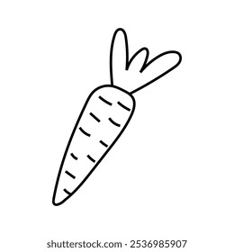 Minimalist hand-drawn doodle of a vector carrot with simple, clean lines, giving it a playful and natural look. This charming carrot illustration is perfect for food-themed designs, recipe cards, chil