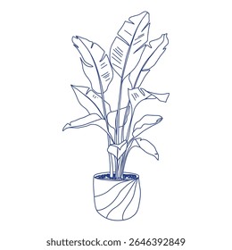 Minimalist hand-drawn vector of a potted indoor plant with large leaves, perfect for botanical decor, eco design, and home illustration themes.  