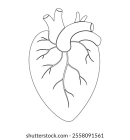 Minimalist Human Heart Single Line Drawing - Modern Medical Art Design