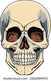Minimalist Human Skull realistic vector illustration
