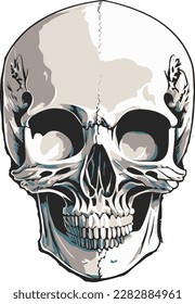 Minimalist Human Skull realistic vector illustration