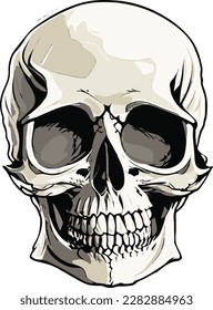 Minimalist Human Skull realistic vector illustration