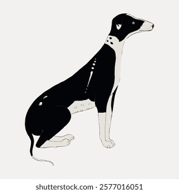 Minimalist illustration of a black and white dog sitting. The dog has a sleek, elegant posture. Simple, artistic dog design with clean lines. Vintage illustration isolated on white, vector.