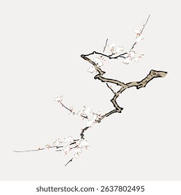 Minimalist illustration of a cherry blossom branch with delicate white flowers and brown bark, showcasing traditional Asian art style and elegance. Vintage art illustration vector.