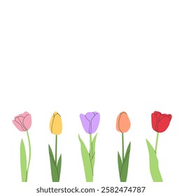 Minimalist illustration of colorful tulips on white background. Elegant floral design for prints, invitations, greeting cards, decorations, spring themes, nature projects, and botanical artwork.