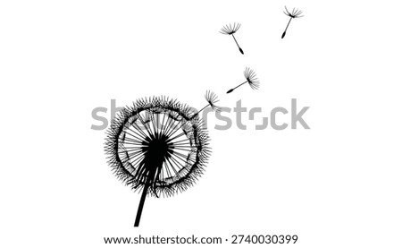 A minimalist illustration of a dandelion puffball with several seeds detaching and floating away in the breeze, isolated on a clean white background.