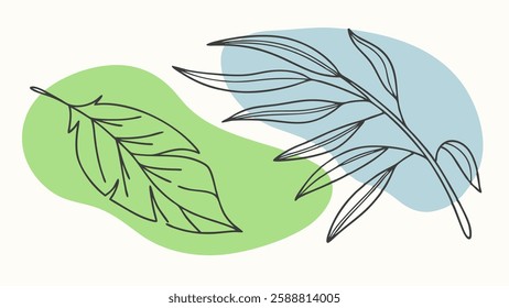 A Minimalist illustration of delicate leaves in green and blue shapes, evoking tranquility and nature