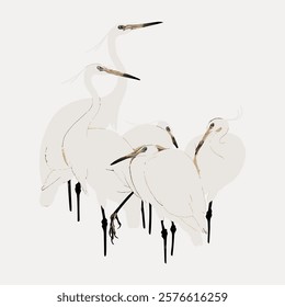 Minimalist illustration of elegant white egrets with long necks and slender legs. Egrets in a group, showcasing their graceful posture and delicate features. Vintage animal illustration, vector.