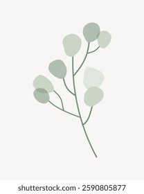 Minimalist illustration of a eucalyptus branch with green leaves. Simple eucalyptus design with soft green tones. Eucalyptus art on a light background. Vector illustration.