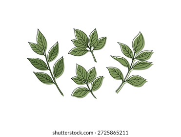 Una ilustración minimalista con cuatro delicadas ramas frondosas con hojas verdes, dispuestas de manera simple y elegante sobre un fondo blanco.