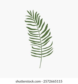 Minimalist illustration of a green fern leaf on a white background. The fern leaf design is simple and elegant, showcasing the beauty of nature and foliage. Leaf vector illustration isolated on white.