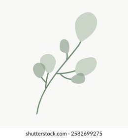 Minimalist illustration of a green plant with round leaves. Simple plant design with soft green leaves. Elegant plant art with delicate leaves on a white background. Vintage botanical vector.