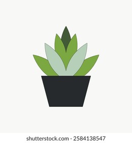 Minimalist illustration of a green succulent in a black pot. Simple succulent design with layered green leaves. Succulent art in a geometric style. Vector isolated on white.