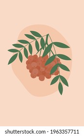 Minimalist illustration with mountain ash branches and leaves on a beige background. Home decor, covers, postcards, fabrics.