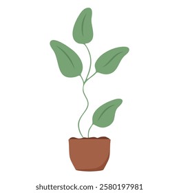 Minimalist illustration of potted climbing plant with green leaves in brown pot isolated on transparent background. Perfect for botanical, home decor, and nature themed designs. Vector art.